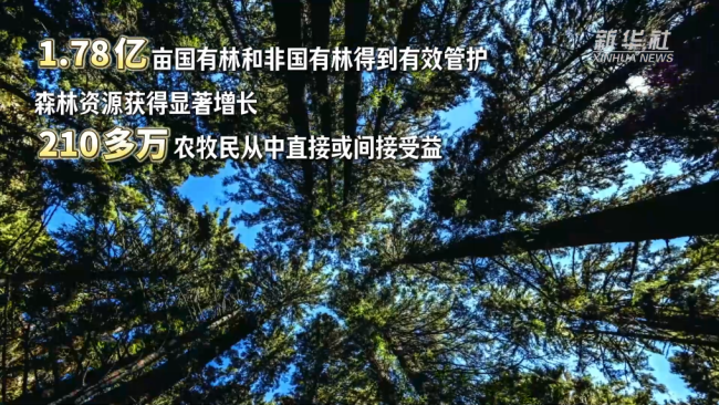 西藏和平解放74周年·生态有守护