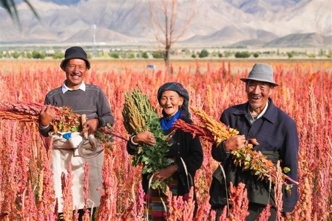 上海、山东、吉林、黑龙江四省市援藏干部人才:携手奋进路 “援”梦日喀则