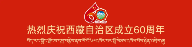习近平率中央代表团抵达拉萨出席西藏自治区成立60周年庆祝活动