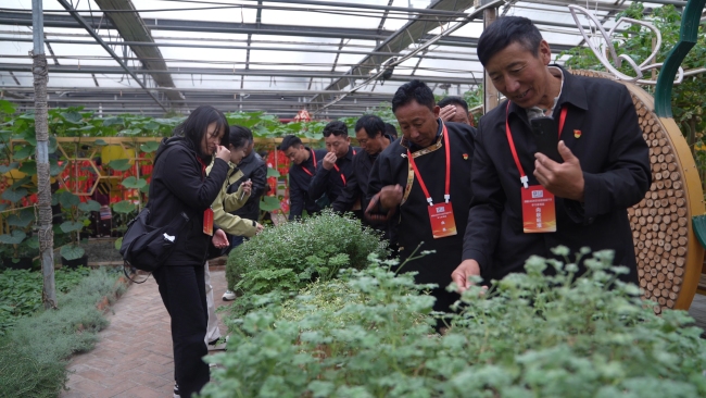 西藏林芝波密县基层干部参观世界花卉大观园组培温室