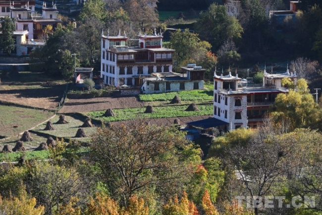 【甘孜山水】“云端藏寨”走向世界 基卡依村交出幸福答卷