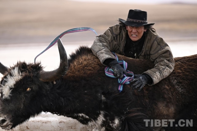 电影《遥远的普若岗日》12月16日全国上映