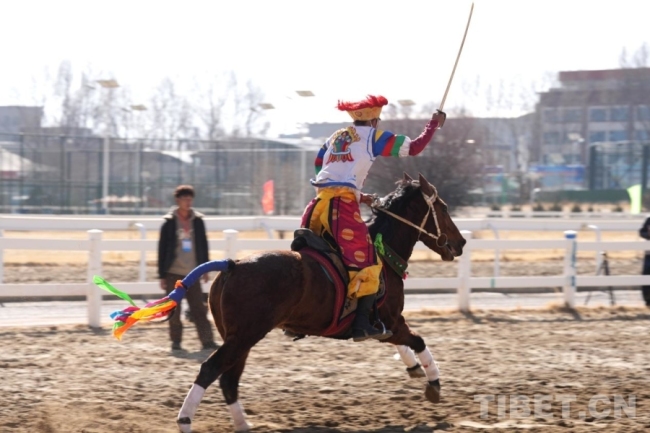 马年赛马！藏历初三，雪域赛马场上演“速度与激情”