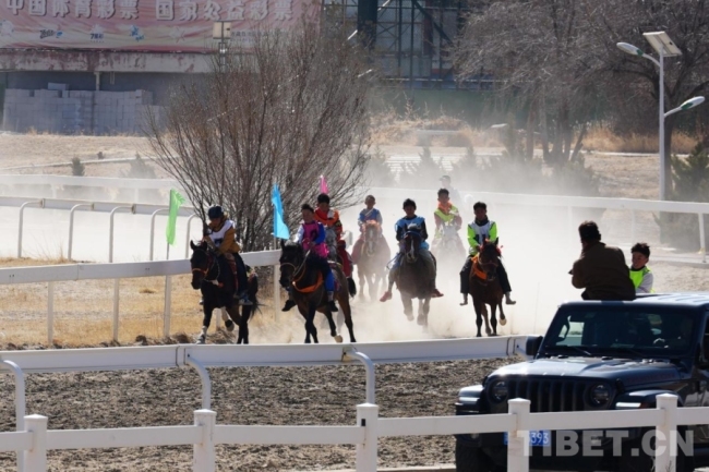 马年赛马！藏历初三，雪域赛马场上演“速度与激情”