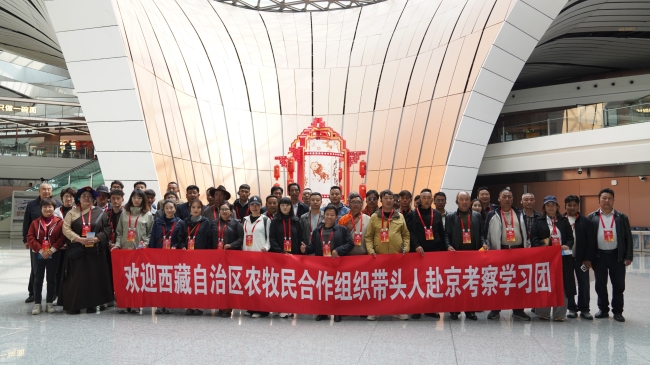 西藏农牧民合作组织带头人赴京学习考察团走进北京大兴国际机场,感受大国基建与现代化航空枢纽风采。