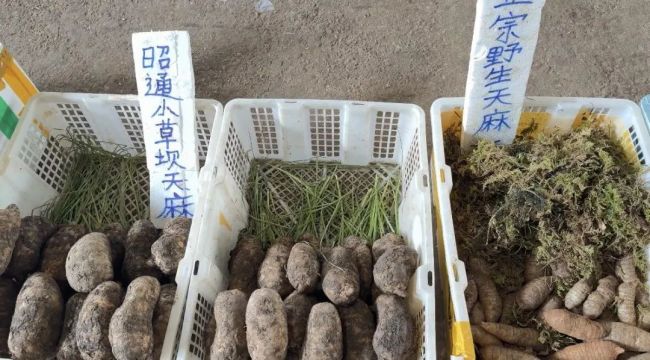 昆明木水花市场松露、天麻上市！价格→