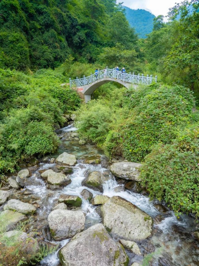 苍山玉带路沿途风光（大理州文化和旅游局 供图）