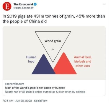 称猪比中国人吃得多后 经济学人删推 引发全球怒怼