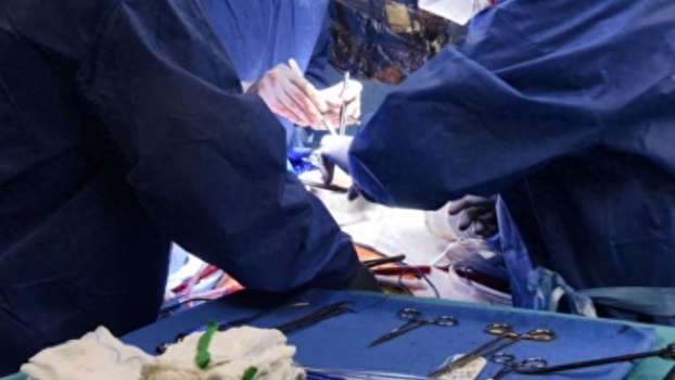 美国医生再次移植猪心脏：患者仍处于观察期 术后恢复良好