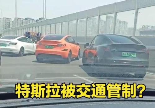 郑州高架桥上特斯拉被拦停 回应：临时交通管制