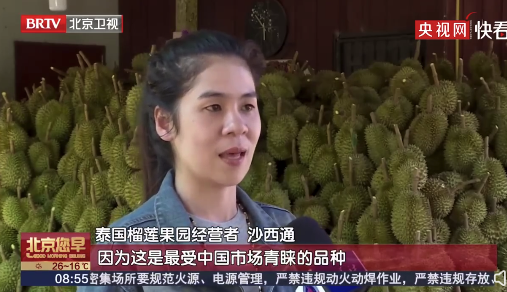 泰国农户称中国人最爱吃榴莲 市场需求量较大行情依然不错