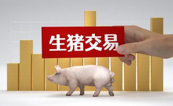 猪价、粮价剧烈震荡 下半年还能上涨吗？