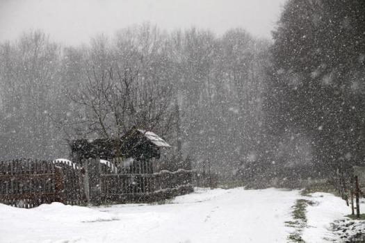 大雪到了！“最怕大雪不下雪” 有啥预兆？ 农谚中的智慧解析