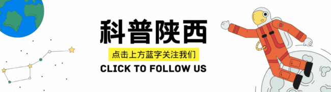 车厘子吃多了不会中毒 科学辟谣放心吃