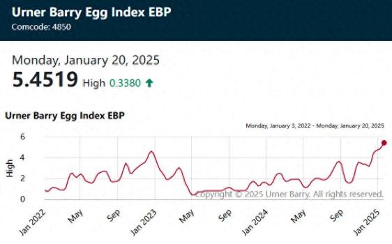美国鸡蛋到底涨到多贵 1美元1枚成常态
