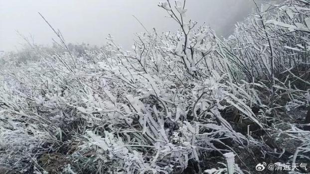 廣東冷出了冰掛霧凇 粵北山區(qū)將現(xiàn)雨夾雪