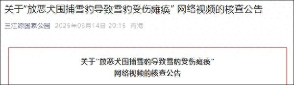 受伤雪豹曾被藏獒围攻致瘫痪？假的 官方已核查澄清