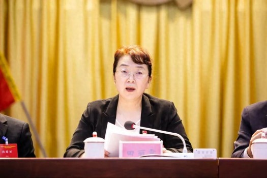 海南东方市委原书记田丽霞被双开 严重违纪违法遭查处