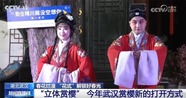 赏花经济赋能乡村振兴 激发春日消费活力
