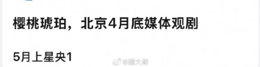 赵今麦张凌赫新剧《樱桃琥珀》或将上星，粉丝期待值拉满