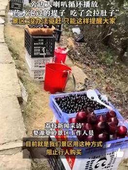 景区用喇叭劝阻游客买乌梅：是用药水泡过的提子，吃了会拉肚子