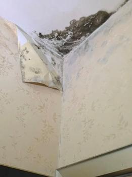 群租房噪音扰民 楼下邻居很无奈 夜半噪音难忍