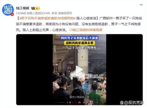 12345回应男子买狗不满意当场摔死狗 冲动行为引热议