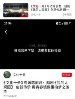陳麗君 賈寶玉 解讀失誤引發(fā)爭議