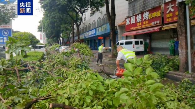 廣西一地現(xiàn)暴雨冰雹 樹木被折斷 強對流天氣來襲