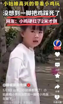 女孩帶小雞玩時(shí)意外把小雞踩在腳下 小雞堅(jiān)強(qiáng)跑兩米終倒下