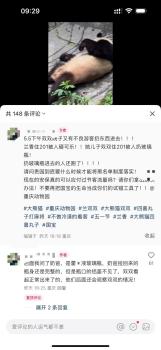 重慶動(dòng)物園大熊貓被扔玻璃瓶 異物已被清理熊貓無(wú)恙