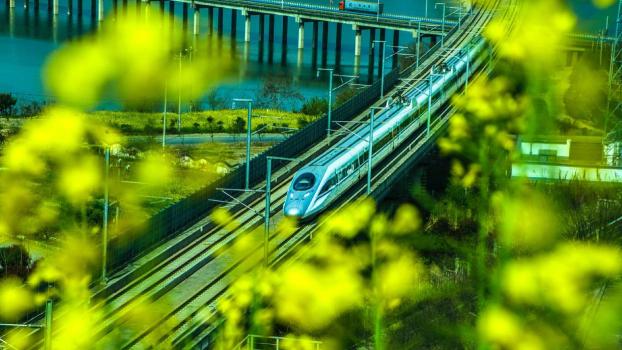香港“高鐵團(tuán)”來(lái)了 高鐵出行受歡迎