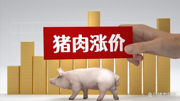 一夜“降溫”,！豬價(jià)“窄幅”下跌 市場(chǎng)供需博弈持續(xù)