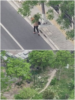 新型電詐現(xiàn)埋現(xiàn)金操作 警方揭露“埋包”騙局