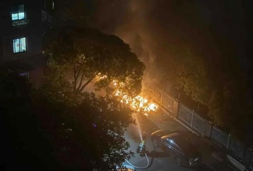 上海一地多輛非機動車被燒毀 火災(zāi)未致人員傷亡