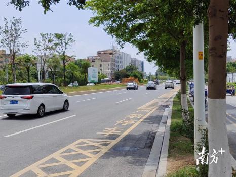 白云机场附近的迎宾大道成露天厕所 司机随地如厕引关注
