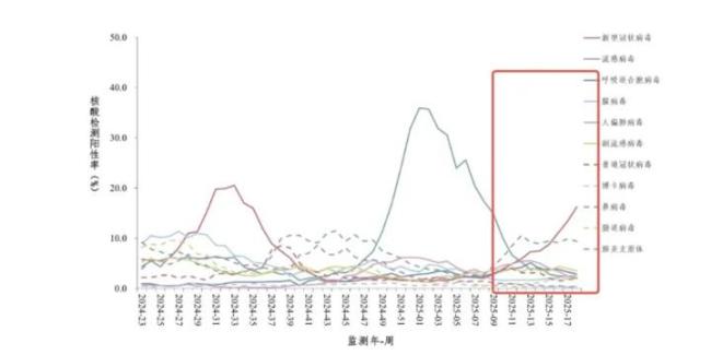 新冠陽性率上升 專家：病毒還在變異 XDV變異株傳播力強(qiáng)