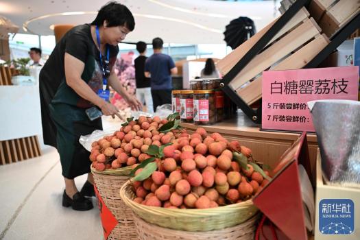 廣東首個荔枝服務區(qū)開通運營 荔枝文化新地標
