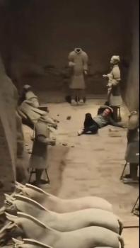 文旅局調(diào)查男子掉進(jìn)兵馬俑坑 游客破壞文物引發(fā)關(guān)注