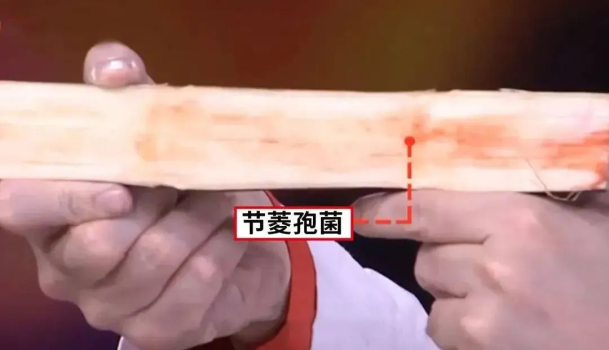 水果放成這樣還能吃嗎 如何辨別安全食用