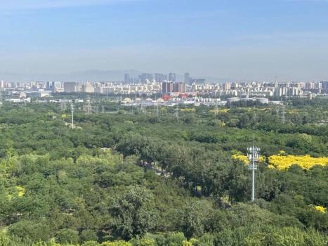 京津冀鳥類超過600種占全國(guó)近四成 生態(tài)改善引來百鳥棲息