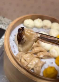 桔子酒店店長道歉,，市監(jiān)部門介入 早餐驚現(xiàn)蟑螂