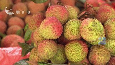 6岁女童空腹吃荔枝触发“荔枝病” 适量食用很重要