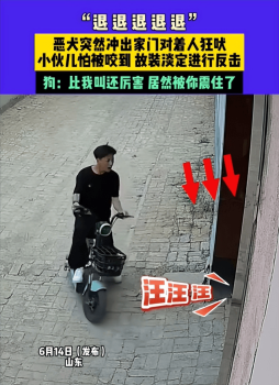 恶犬狂吠小伙大喊退退退 临危不乱显神威
