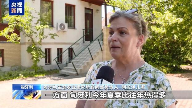 匈牙利高溫干旱致農(nóng)作物嚴(yán)重受災(zāi) 河流水量銳減加劇災(zāi)情