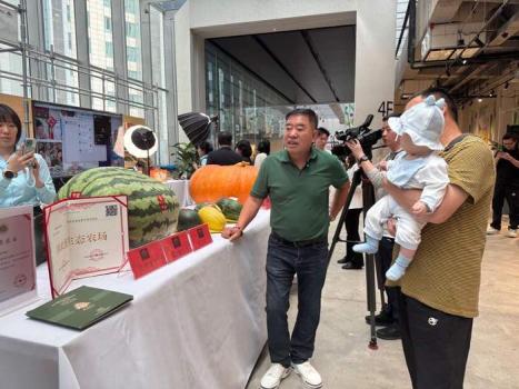 今夏北京西瓜大桃都比往年甜,？聽聽專家和種植戶怎么說 糖度數(shù)值更高
