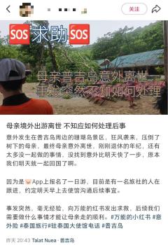 中國(guó)游客泰國(guó)被樹(shù)砸身亡 家屬發(fā)聲 求助處理后事