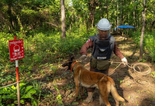 泰國士兵被地雷炸傷是柬埔寨所為嗎 兩國邊界爭端再升級(jí)