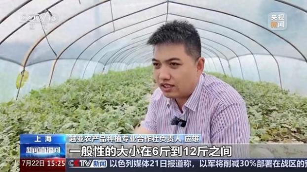 我國(guó)平均每人每年吃近100斤西瓜 品牌化小西瓜成趨勢(shì)