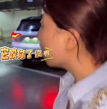 丹陽杜賓犬事件新進展 狗主人態(tài)度引爭議